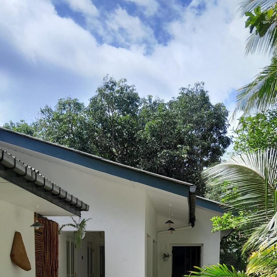 Hotel Mahagedara Dikwella Extérieur photo