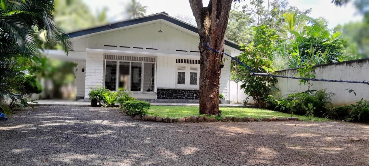 Hotel Mahagedara Dikwella Extérieur photo